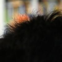 毛量がある髪の毛