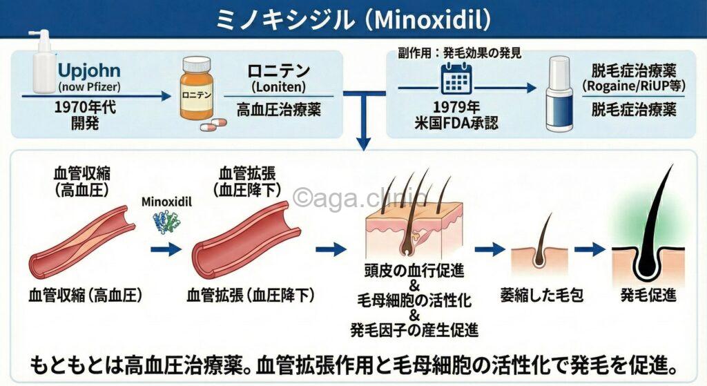 ミノキシジル解説イラスト