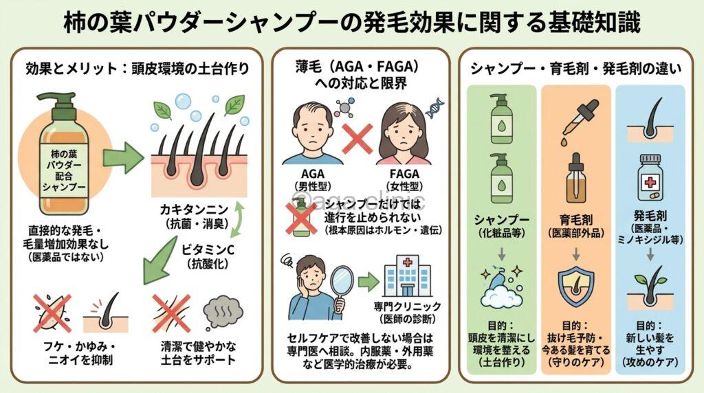 柿の葉パウダー