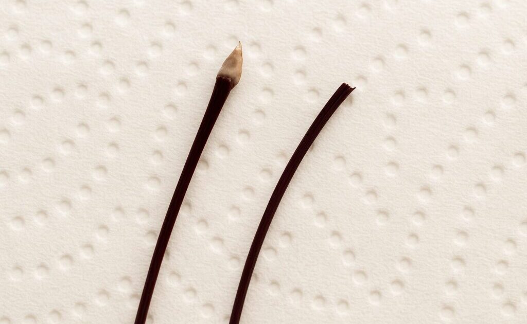 抜け毛と切れ毛