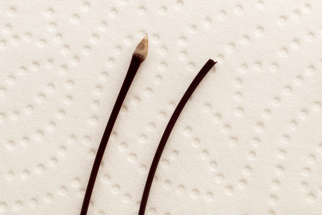 抜け毛と切れ毛