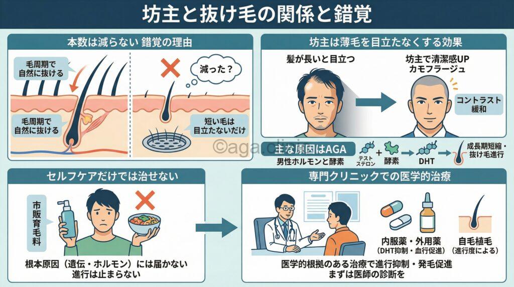 「坊主にした方が抜け毛は減る?メリット・デメリット・対策を解説」というタイトル記事を要約した当サイトのオリジナル解説イラスト