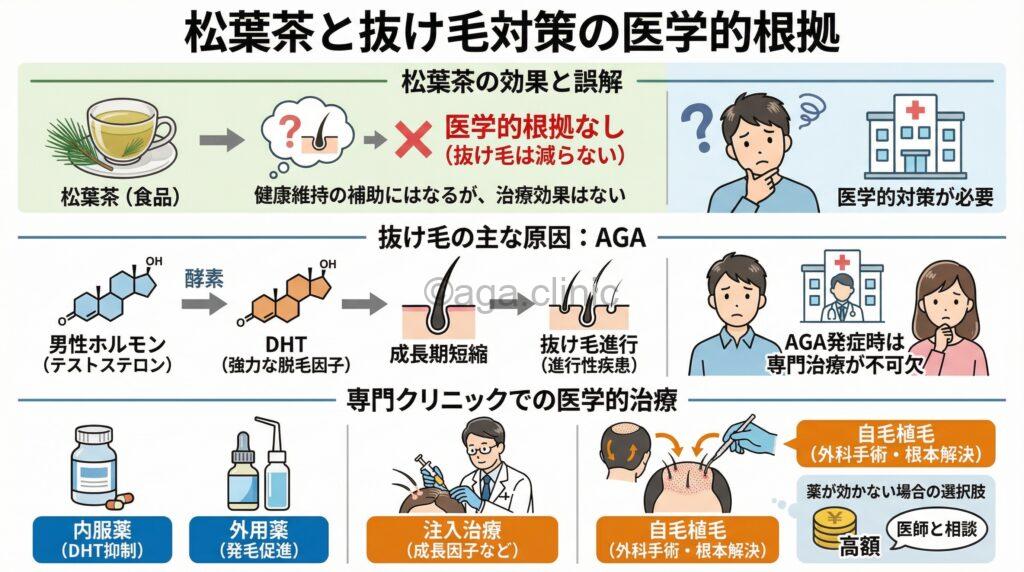 「松葉茶を飲み続けると抜け毛は減る？注意点と正しい対策方法」というタイトル記事を要約した当サイトのオリジナル解説イラスト