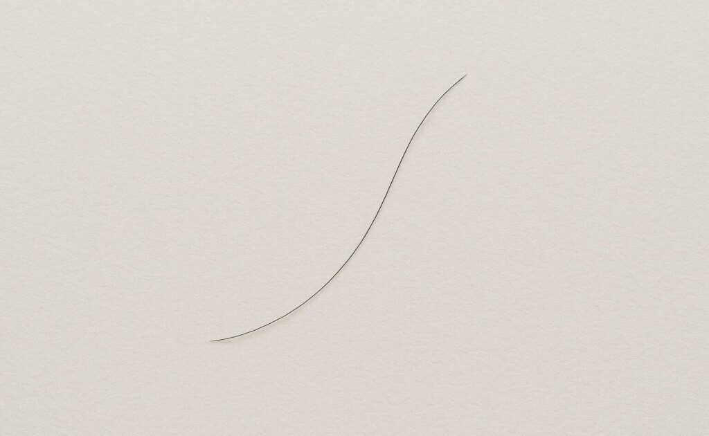 細い抜け毛