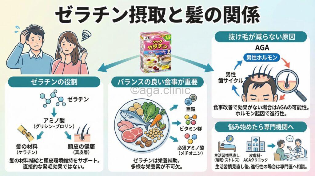 「森永クックゼラチンで薄毛が減る?発毛や育毛効果はあるのか徹底解説」というタイトル記事を要約した当サイトのオリジナル解説イラスト