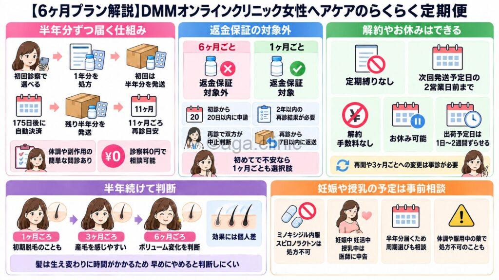 「【6ヶ月プラン解説】DMMオンラインクリニック女性ヘアケアのらくらく定期便」というタイトル記事を要約した当サイトのオリジナル解説イラスト